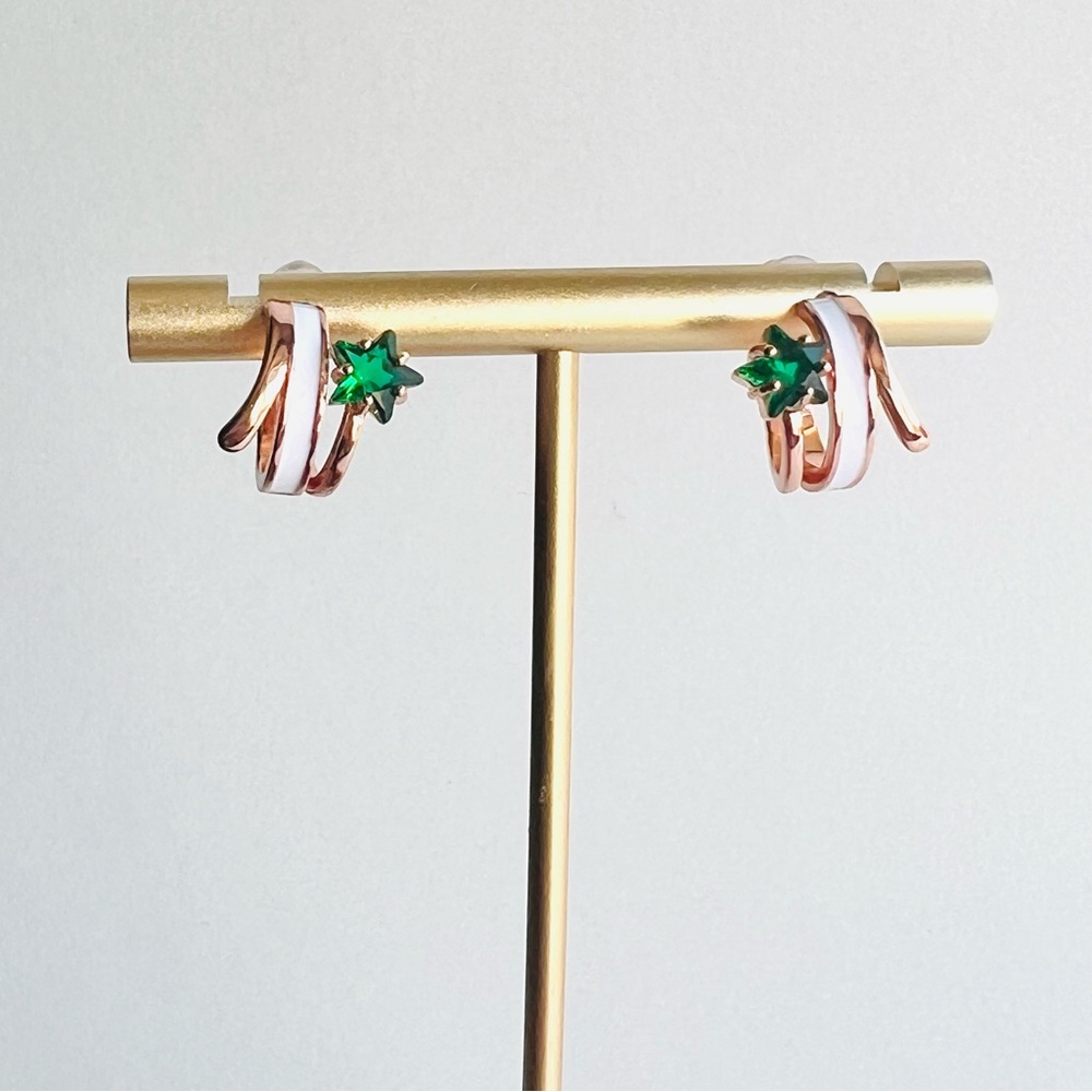 Stainless steel Huggie earrings